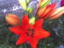 15-06-13_0544