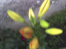 15-06-13_0545