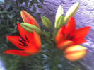 15-06-13_0546