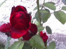 15-06-13_0549