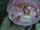15-06-13_0552