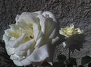 17-06-13_0834