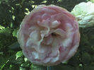 17-06-13_0835