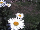 17-06-13_1258