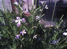 18-06-13_0701
