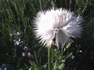 18-06-13_0702