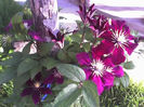 18-06-13_0709