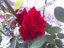 18-06-13_0714