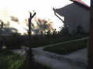 18-06-13_0731