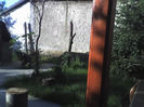 18-06-13_0736