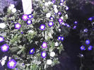 18-06-13_0740