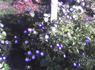 18-06-13_0741