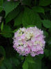 DSCN7293
