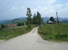 DSC07833