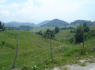 DSC07834