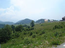 DSC07838