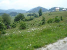 DSC07839