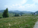 DSC07841