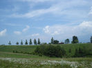 DSC07846