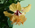 P1450332