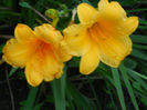 083