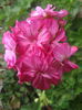 2013-06-23 12.45.13