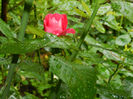 DSCN3995