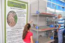 expo transilvania prepelite japoneze pui stand expozitie prepelite cluj bobwhite californiana cu mot