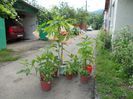 DSCN1689