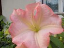 DSCN1651