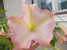 DSCN1652