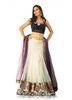 off-white-net-lehenga-choli-with-hand-embroidery-and-zardosi-work