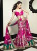 pink-net-lehenga-choli