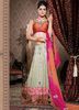 brown-net-lehenga-choli