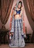 blue-net-lehenga-choli