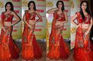Sakshi_Tyagi_Netted_lehenga