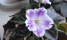 WP_20130627_006