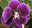 DSC01605