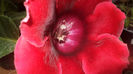 DSC01609