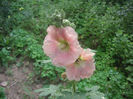 SANY0026