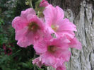 SANY0029