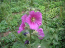SANY0033