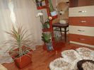 DSC03919