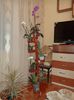 DSC03912