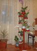 DSC03929