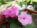 DSCN1302