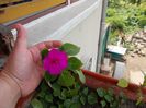 DSCN1304