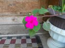 DSCN1310