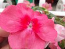 DSCN1335