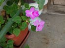 DSCN1421